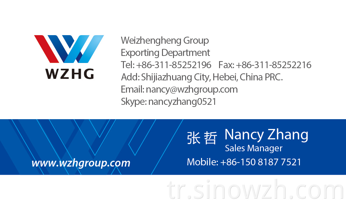 Nancy Zhang WZH Group1